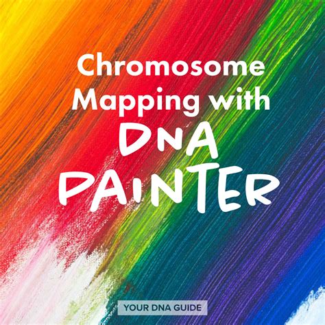 dna painter login|How To Use DNA Painter And How Does It Help You .